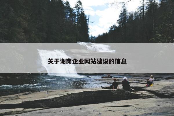 关于谢岗企业网站建设的信息