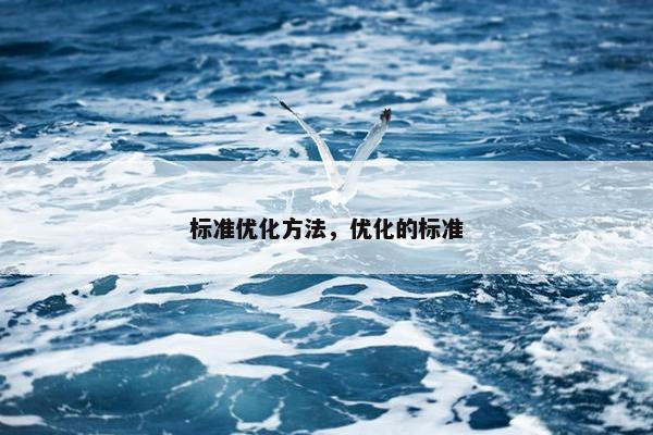 标准优化方法，优化的标准