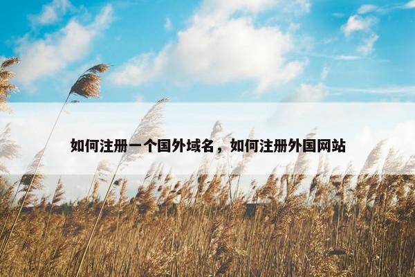 如何注册一个国外域名，如何注册外国网站