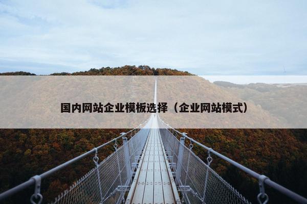 国内网站企业模板选择（企业网站模式）