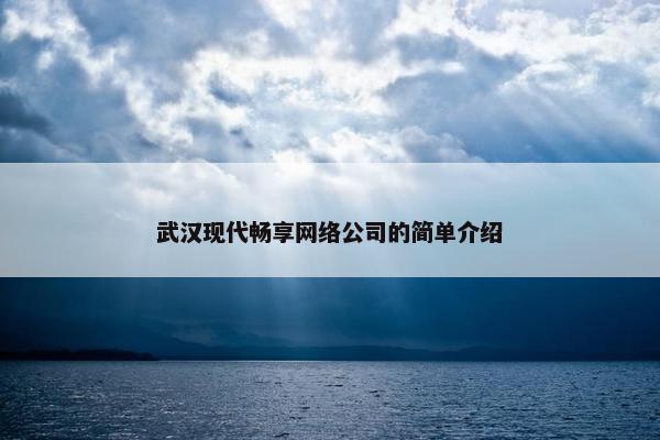 武汉现代畅享网络公司的简单介绍