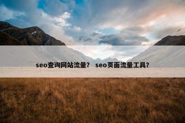 seo查询网站流量？ seo页面流量工具？
