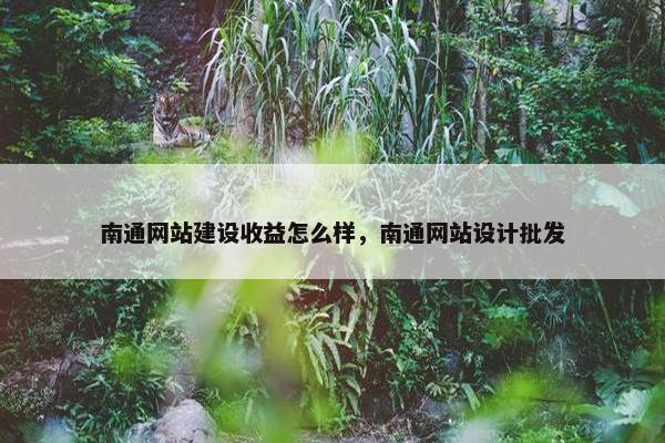 南通网站建设收益怎么样，南通网站设计批发
