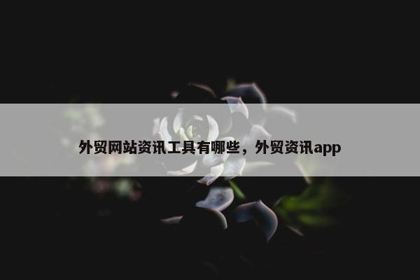 外贸网站资讯工具有哪些，外贸资讯app