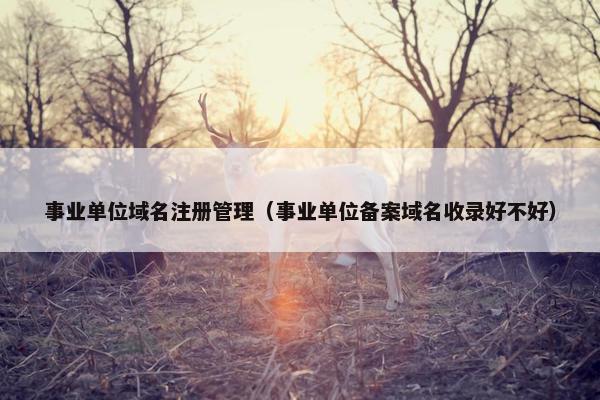 事业单位域名注册管理（事业单位备案域名收录好不好）