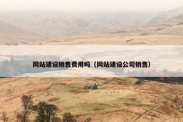 网站建设销售费用吗（网站建设公司销售）