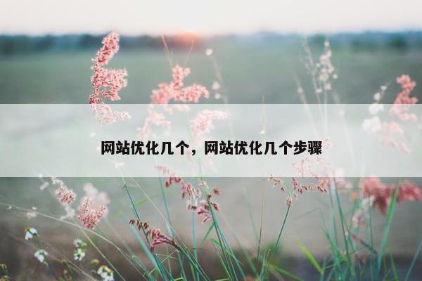 网站优化几个，网站优化几个步骤