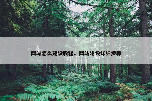 网站怎么建设教程，网站建设详细步骤