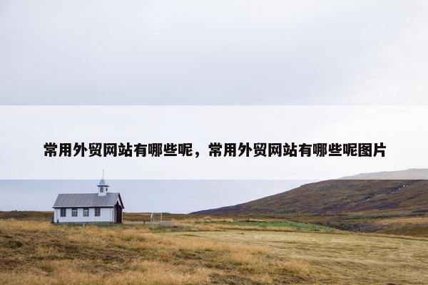 常用外贸网站有哪些呢，常用外贸网站有哪些呢图片