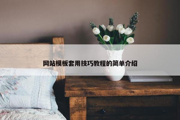 网站模板套用技巧教程的简单介绍
