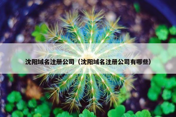 沈阳域名注册公司（沈阳域名注册公司有哪些）