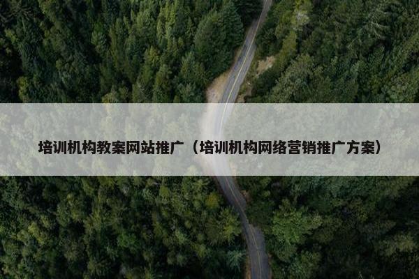 培训机构教案网站推广（培训机构网络营销推广方案）