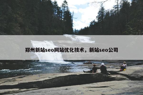 郑州新站seo网站优化技术，新站seo公司