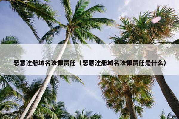 恶意注册域名法律责任（恶意注册域名法律责任是什么）