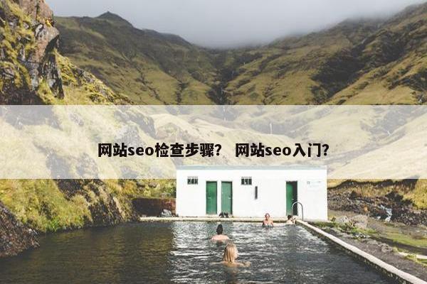 网站seo检查步骤？ 网站seo入门？