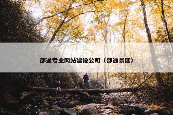 邵通专业网站建设公司（邵通景区）