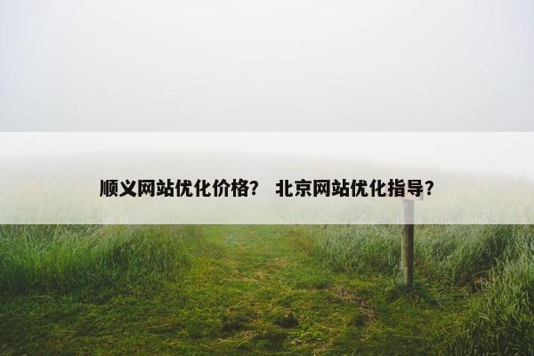 顺义网站优化价格？ 北京网站优化指导？