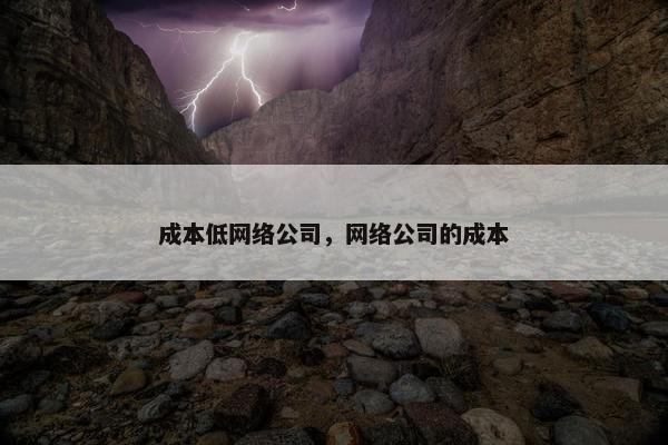 成本低网络公司，网络公司的成本