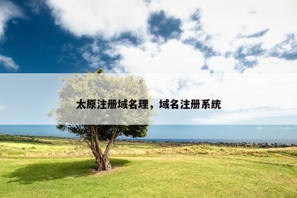 太原注册域名理，域名注册系统