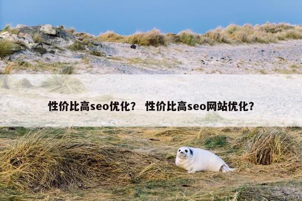 性价比高seo优化？ 性价比高seo网站优化？