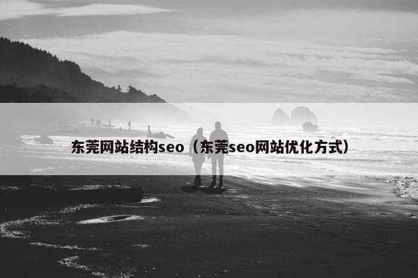东莞网站结构seo（东莞seo网站优化方式）