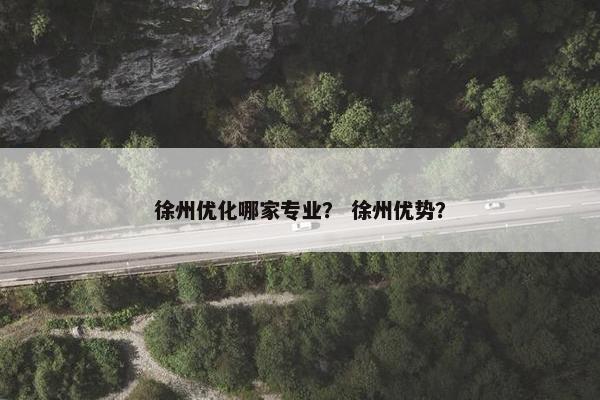 徐州优化哪家专业？ 徐州优势？