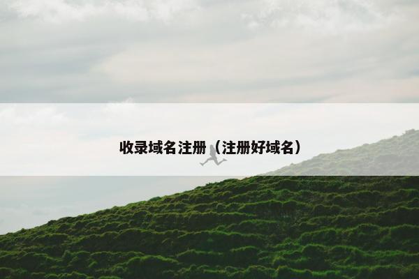 收录域名注册（注册好域名）