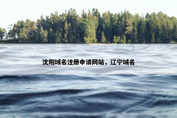 沈阳域名注册申请网站，辽宁域名