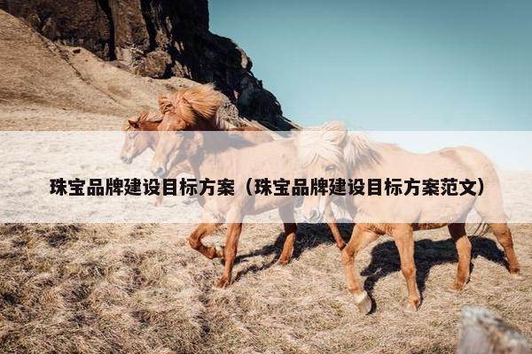 珠宝品牌建设目标方案（珠宝品牌建设目标方案范文）