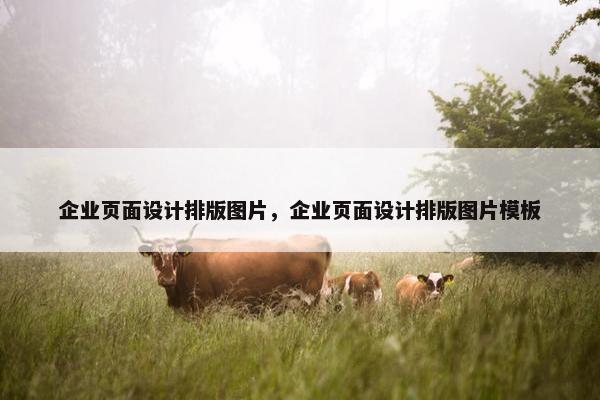 企业页面设计排版图片，企业页面设计排版图片模板