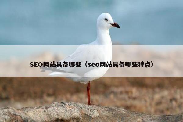SEO网站具备哪些（seo网站具备哪些特点）