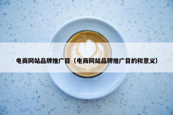 电商网站品牌推广目（电商网站品牌推广目的和意义）