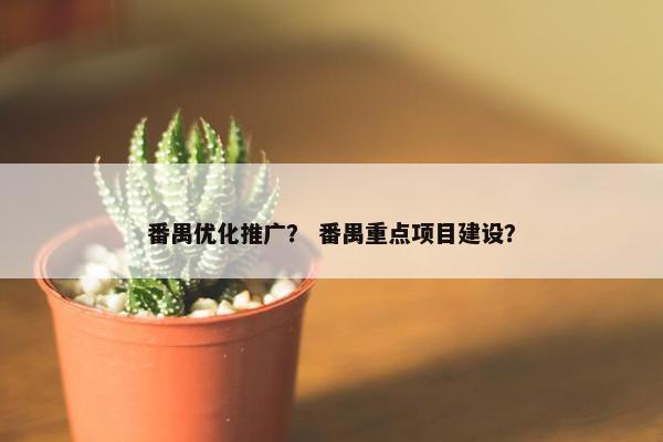 番禺优化推广？ 番禺重点项目建设？