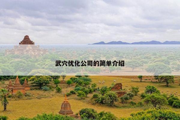武穴优化公司的简单介绍