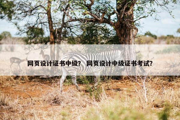 网页设计证书中级？ 网页设计中级证书考试？