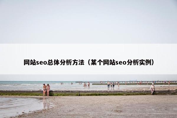 网站seo总体分析方法（某个网站seo分析实例）