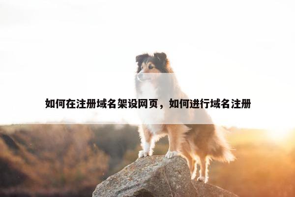 如何在注册域名架设网页，如何进行域名注册