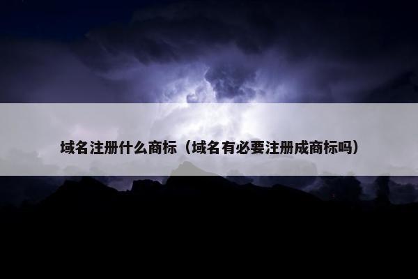 域名注册什么商标（域名有必要注册成商标吗）