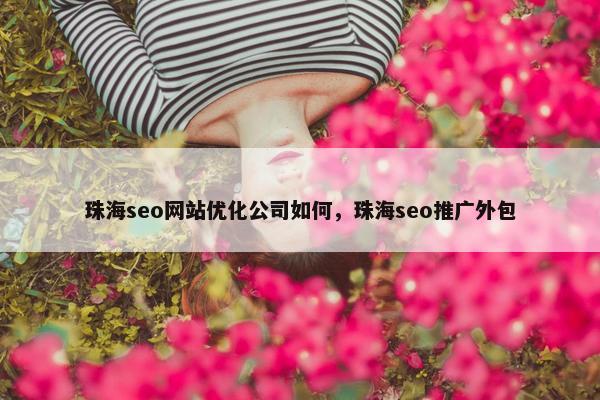 珠海seo网站优化公司如何，珠海seo推广外包