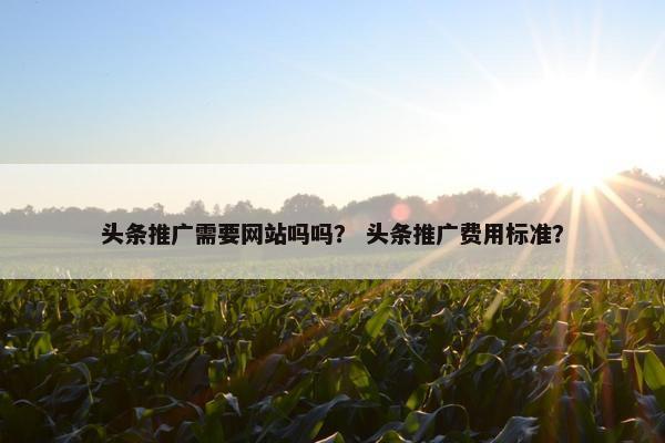 头条推广需要网站吗吗？ 头条推广费用标准？