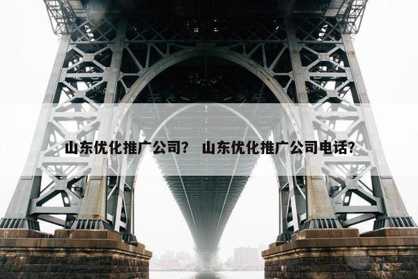 山东优化推广公司？ 山东优化推广公司电话？