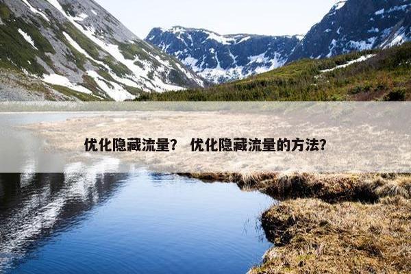 优化隐藏流量？ 优化隐藏流量的方法？