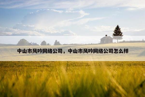 中山市风吟网络公司，中山市风吟网络公司怎么样