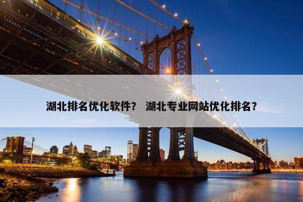 湖北排名优化软件？ 湖北专业网站优化排名？