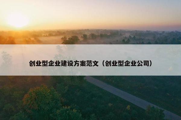 创业型企业建设方案范文（创业型企业公司）
