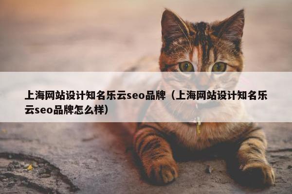 上海网站设计知名乐云seo品牌（上海网站设计知名乐云seo品牌怎么样）