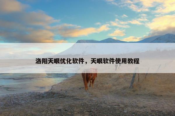 洛阳天眼优化软件，天眼软件使用教程