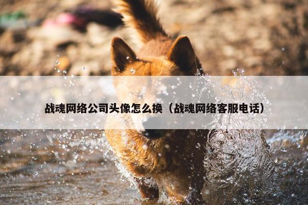 战魂网络公司头像怎么换（战魂网络客服电话）