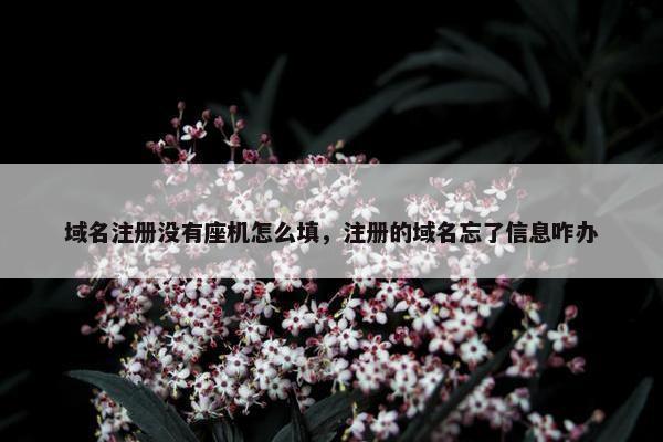 域名注册没有座机怎么填，注册的域名忘了信息咋办