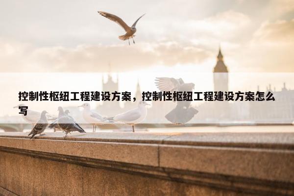 控制性枢纽工程建设方案，控制性枢纽工程建设方案怎么写